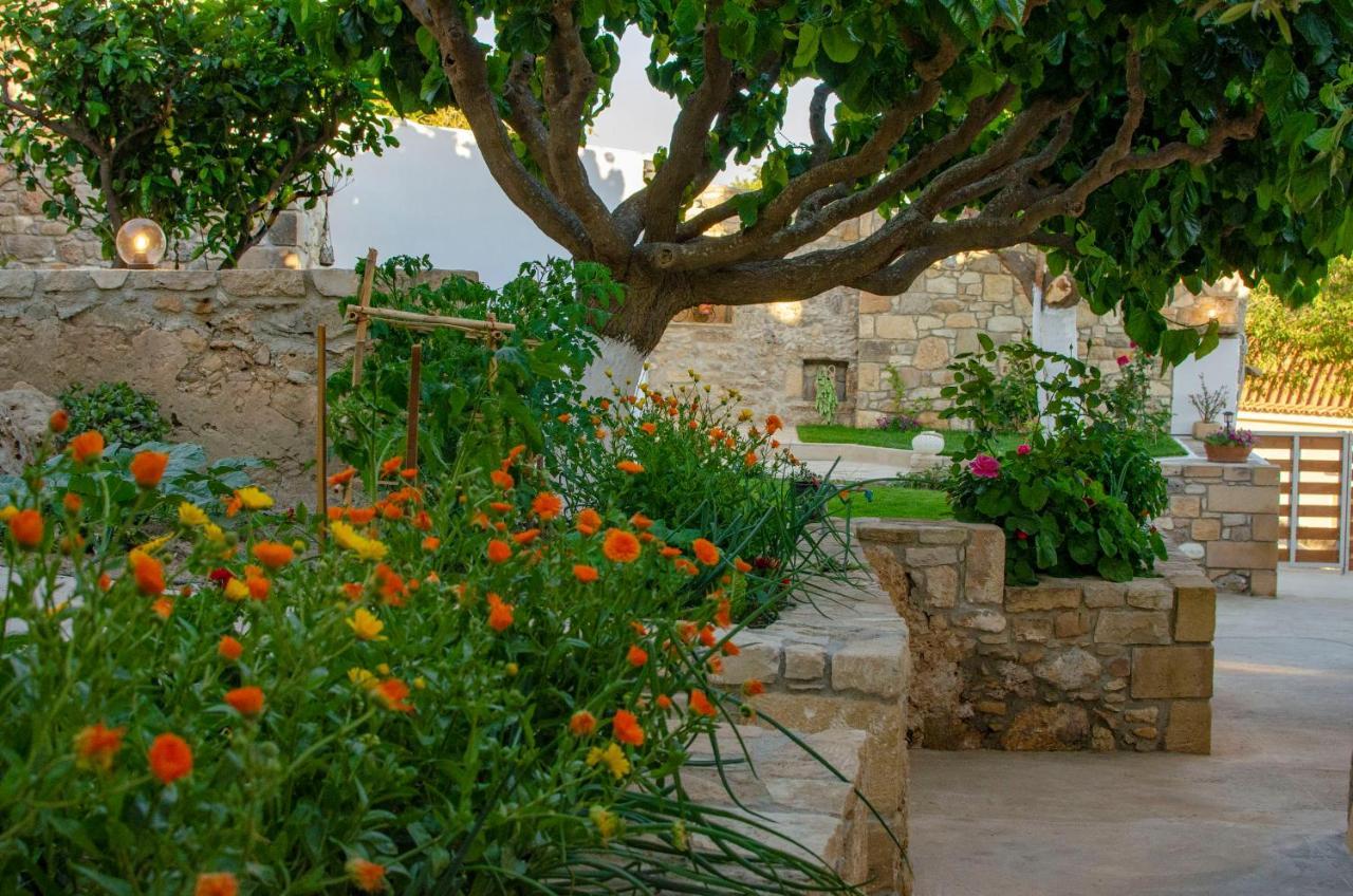 Trouli Rokka House Villa Kíssamos Dış mekan fotoğraf