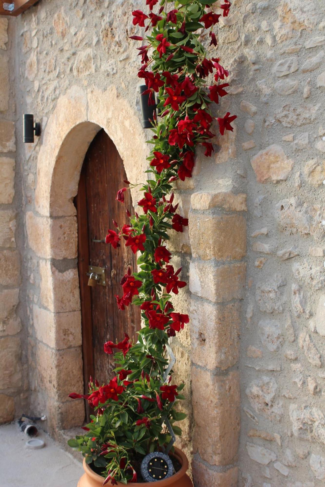 Trouli Rokka House Villa Kíssamos Dış mekan fotoğraf
